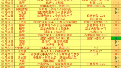 “梁王组合无缘印度羽毛球公开赛男双四强——央视新闻客户端讯”
