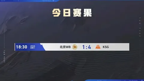 勒沃库森大胜不来梅5-0，维尔茨帽子戏法助力球队赢得德甲荣耀